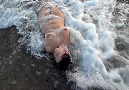 Фото Мила 20 лет, 174 см